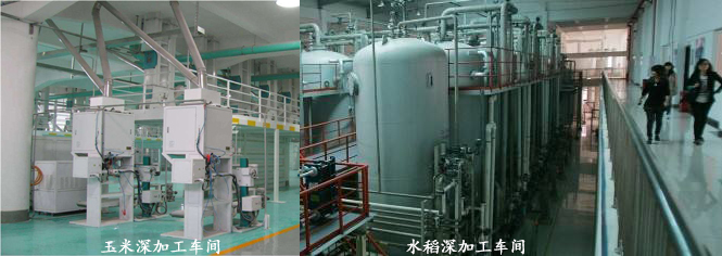 中糧集團(tuán)--定制糧食機(jī)械配套電機(jī)案例