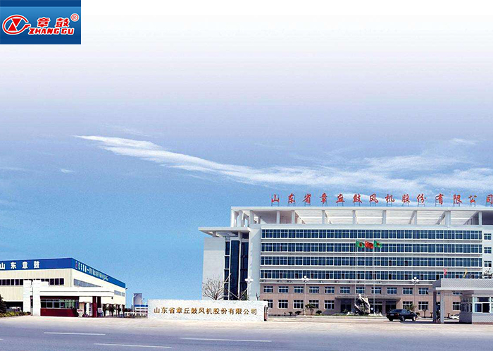 章鼓集團(tuán)--定制風(fēng)機(jī)專(zhuān)用配套電機(jī)案例