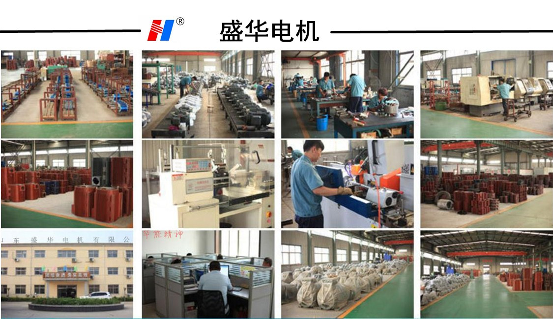 山東盛華糧食機(jī)械專用電機(jī) 山東盛華糧食機(jī)械專用電機(jī)