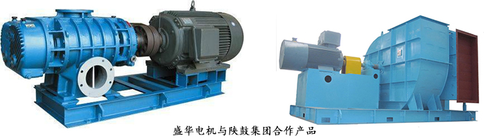 高效節(jié)能電機(jī),山東電機(jī)廠,電機(jī)生產(chǎn)廠家.盛華電機(jī),風(fēng)機(jī)專(zhuān)用電機(jī)