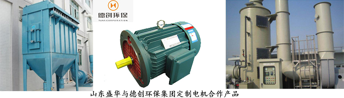 山東電機廠,環(huán)保設(shè)備專用電機,電機定制 山東電機廠,環(huán)保設(shè)備專用電機,電機定制