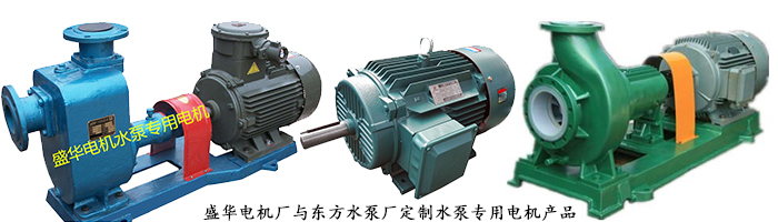 山東電機廠,水泵專用電機,電機定制 山東電機廠,水泵專用電機,電機定制