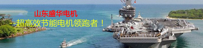 山東電機.聊城電機生產(chǎn)廠家,高效節(jié)能電機 山東電機.聊城電機生產(chǎn)廠家,高效節(jié)能電機