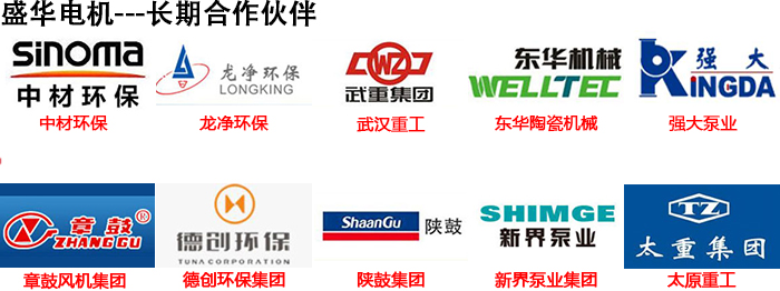 山東聊城盛華電機生產(chǎn)廠家,高效節(jié)能電機,電機頻率 山東聊城盛華電機生產(chǎn)廠家,高效節(jié)能電機,電機頻率