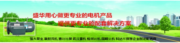 制動電機(jī) 制動電機(jī)