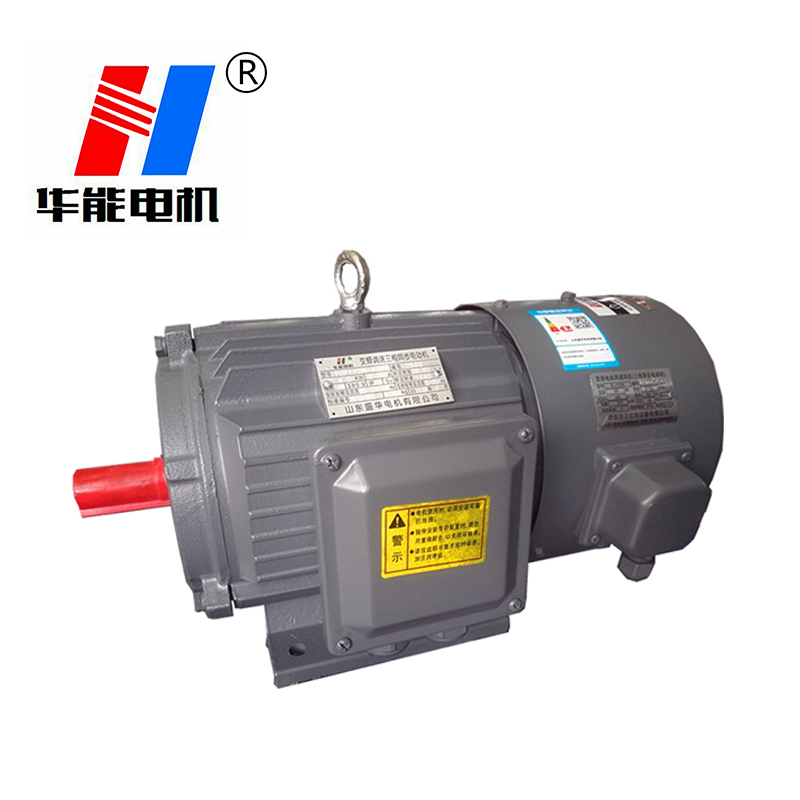 山東電機(jī)廠,高效節(jié)能電機(jī),盛華電機(jī) 山東電機(jī)廠,高效節(jié)能電機(jī),盛華電機(jī)