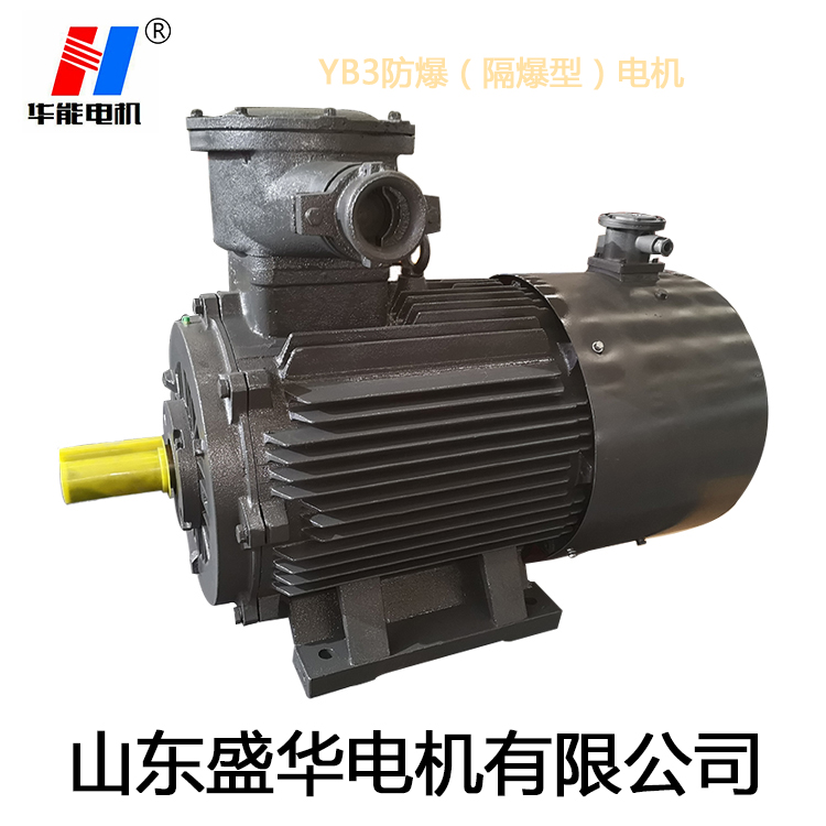 山東變頻電機(jī),電機(jī)生產(chǎn)廠家,大功率防爆電機(jī),電機(jī)防護(hù)等級 山東變頻電機(jī),電機(jī)生產(chǎn)廠家,大功率防爆電機(jī),電機(jī)防護(hù)等級
