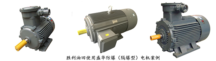 山東盛華-YB3防爆電機 山東電機廠,盛華電機,大功率防爆電機,大功率電機,防爆電機