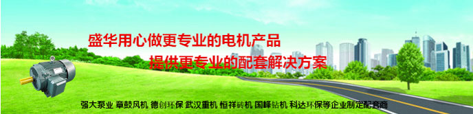 山東盛華電機生產(chǎn)廠家 山東電機,電機生產(chǎn)廠家,高效節(jié)能電動機,電動機