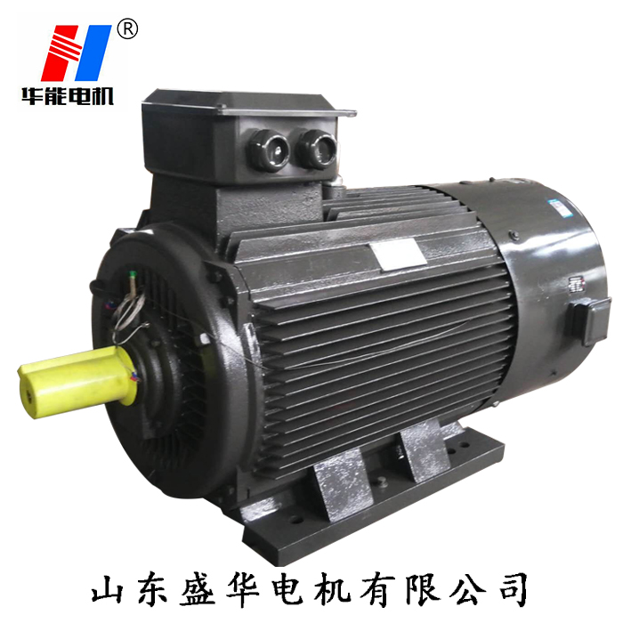 YE2電動(dòng)機(jī) 山東電機(jī),聊城電機(jī)廠,大功率電動(dòng)機(jī),電動(dòng)機(jī)