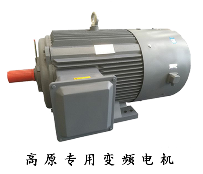 高原專用變頻電機