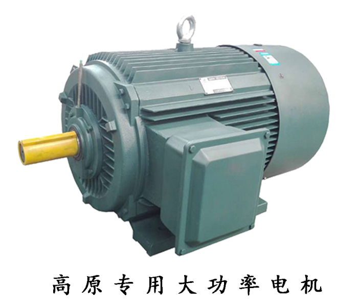 高原專用大功率電機