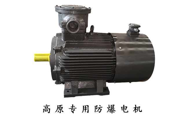 山東電機(jī)廠,高原電機(jī),三相電動(dòng)機(jī) 山東電機(jī)廠,高原電機(jī),三相電動(dòng)機(jī)