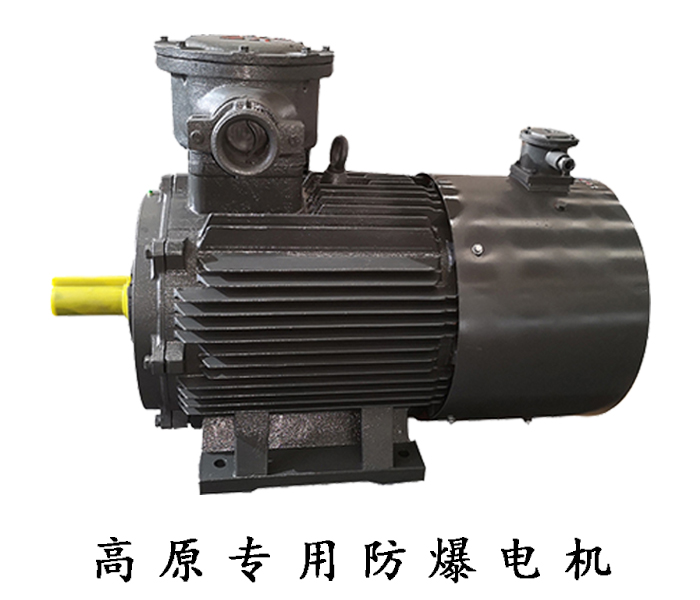 山東電機(jī)廠,高原電機(jī),電機(jī)廠家 山東電機(jī)廠,高原電機(jī),電機(jī)廠家