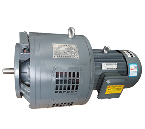 環(huán)保設(shè)備專用電磁調(diào)速電機(jī)