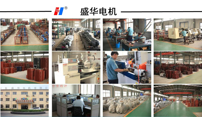 山東電機(jī)廠,電機(jī)生產(chǎn)廠家,大功率電機(jī),變頻電機(jī) 山東電機(jī)廠,電機(jī)生產(chǎn)廠家,大功率電機(jī),變頻電機(jī)