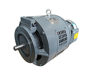 電磁調(diào)速三相異步電動(dòng)機(jī) 電磁調(diào)速三相異步電動(dòng)機(jī)