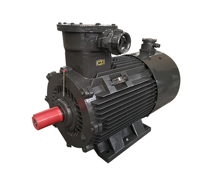 變頻防爆電機,變頻防爆電機生產(chǎn)廠家,防爆變頻電機,隔爆型變頻電機