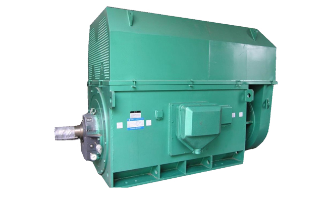 專業(yè)大功率高壓電機(jī)定制生產(chǎn) 山東電機(jī)廠,大功率電動機(jī),高壓電動機(jī),大功率高壓電動機(jī)