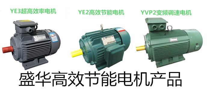 山東盛華電機(jī)生產(chǎn)廠家 山東電機(jī)廠家,電機(jī)生產(chǎn)廠家,三相異步電機(jī)