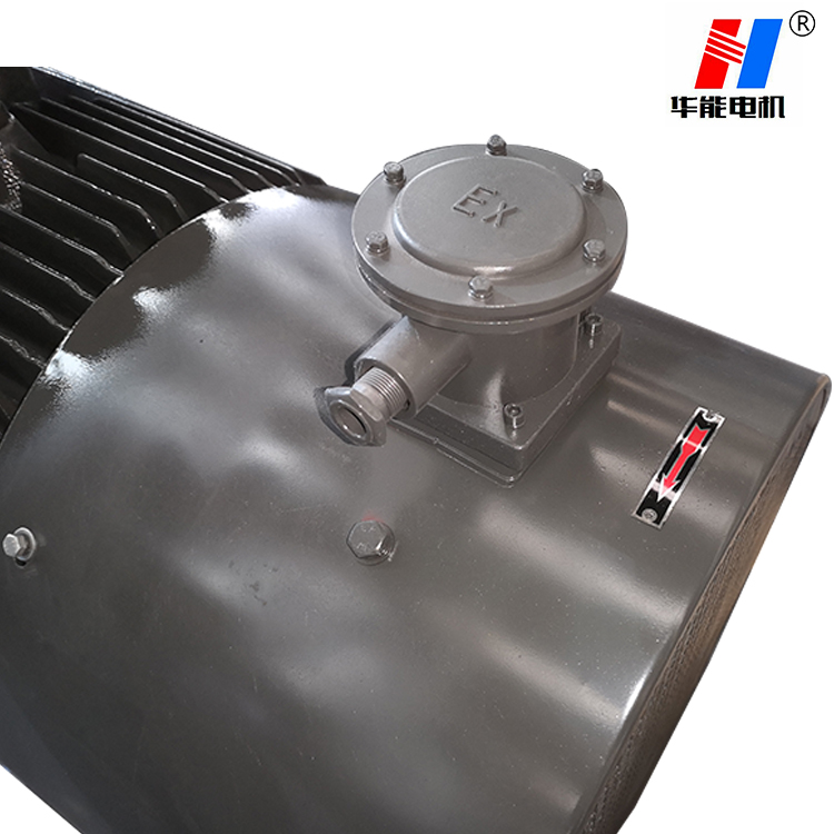 防爆電機(jī)廠,電機(jī)廠,防爆電機(jī)生產(chǎn)廠家,防爆電機(jī)