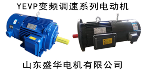 臨清電機(jī)廠,電機(jī)生產(chǎn)廠家,大功率電動(dòng)機(jī)