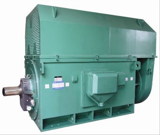 山東盛華-YKK高壓電機(jī) 山東電機(jī)生產(chǎn)廠家高壓電機(jī)