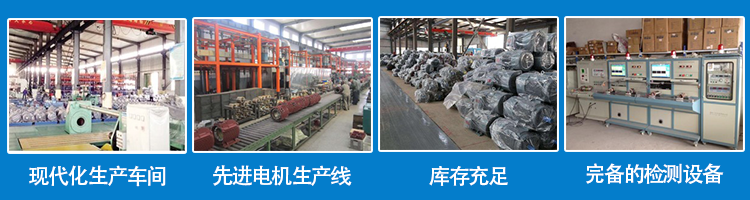 山東盛華電機生產(chǎn)廠家