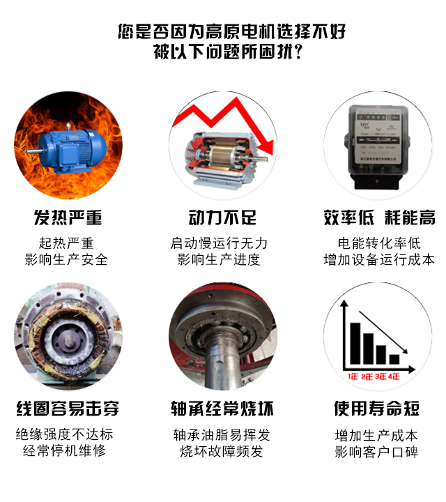 山東高原電機(jī)廠-高原專用變頻電機(jī) 山東高原電機(jī)廠-高原專用變頻電機(jī)