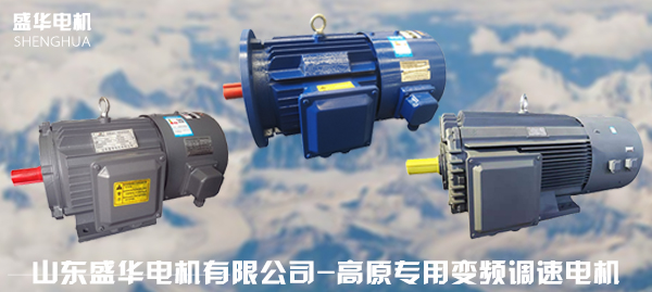 山東高原電機(jī)廠家-高原電機(jī)產(chǎn)品 山東高原電機(jī)廠家-高原電機(jī)產(chǎn)品