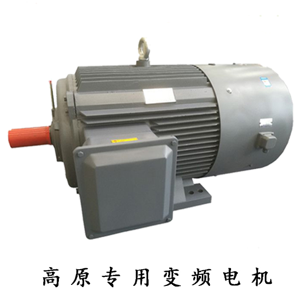 GYP高原專用變頻電機(jī) GYP高原專用變頻電機(jī)