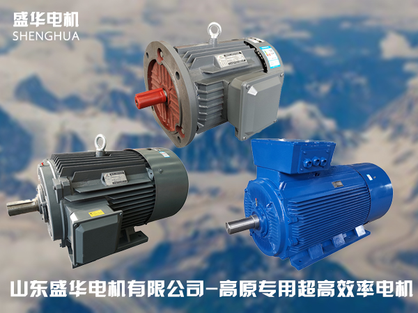 山東高原電機廠-高原專用電機 山東高原電機廠-高原專用電機