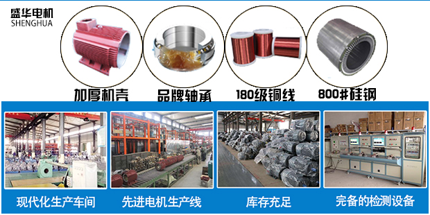 山東盛華電機廠家 山東盛華電機廠家