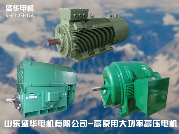 山東盛華高原電機廠