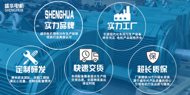 山東盛華電機生產(chǎn)廠家