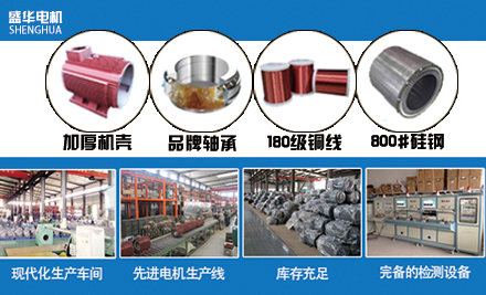 山東盛華電機(jī)廠